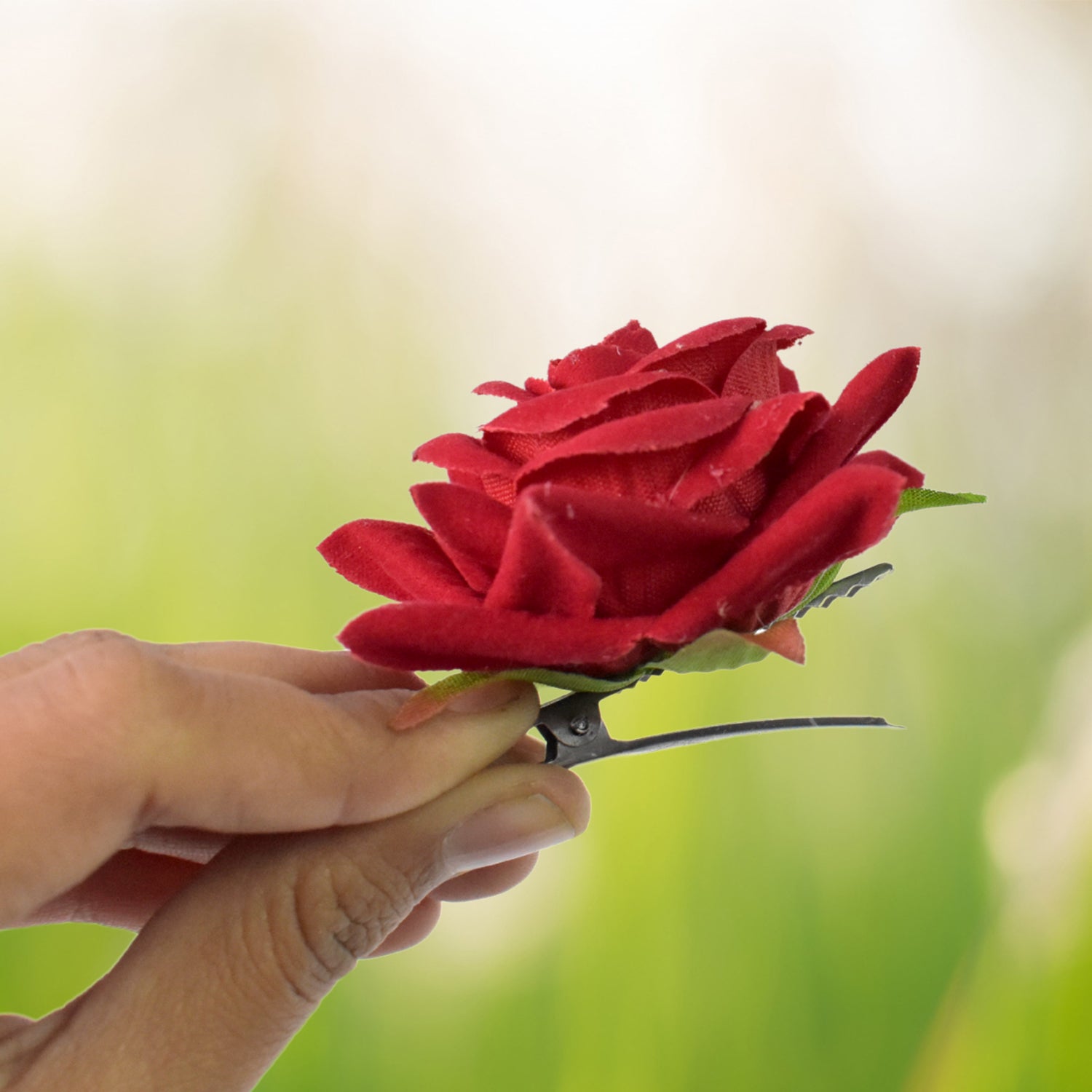Velvet Whisper Rose Velvet Whisper Rose